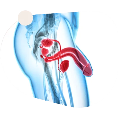 Storm Hammer Benefits